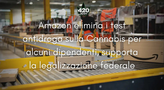 Amazon sostiene la Legalizzazione della Cannabis | 420 Farm