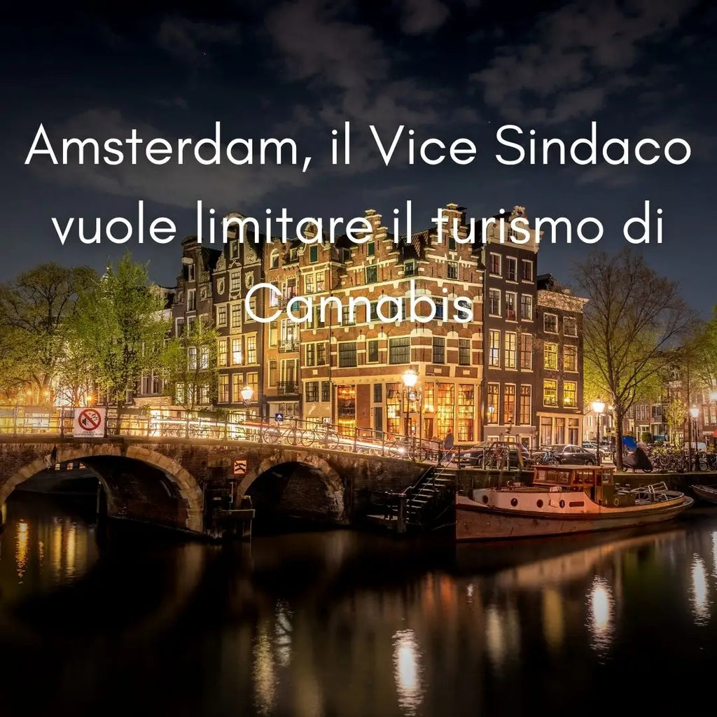Amsterdam, il Vice Sindaco vuole limitare il turismo di Cannabis