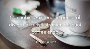 Amsterdam - Stretta al Turismo della Cannabis