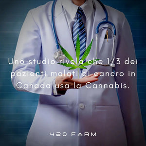 Canada - Cannabis Terapeutica Terapia Del Dolore