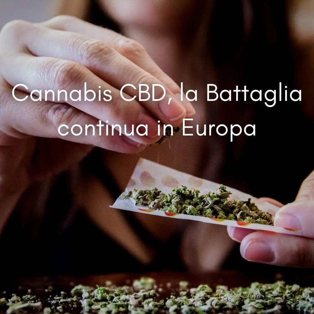 Cannabis CBD, la Battaglia in Europa continua