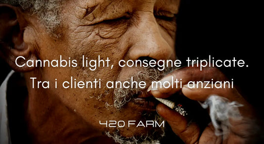 Cannabis Light - Consegne Triplicate