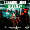 Cannabis Light Illegale? Facciamo il punto