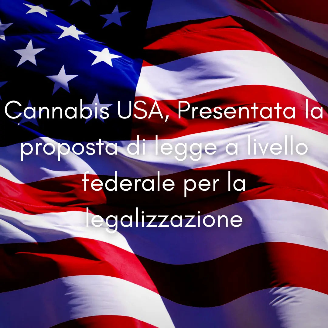 Cannabis USA, Presentata la proposta di legge a livello federale per la legalizzazione