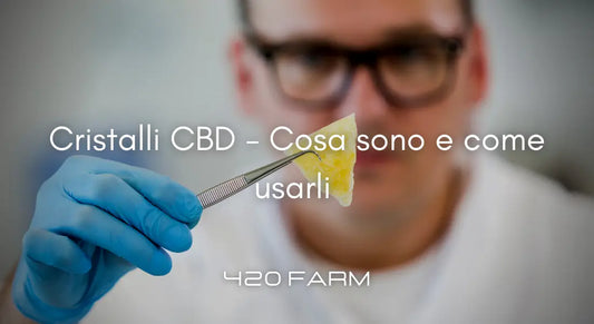 Cristalli CBD - Cosa sono e come usarli