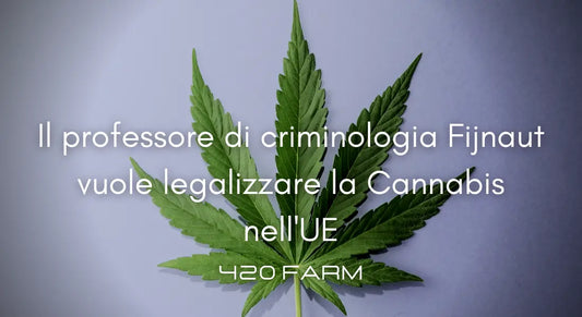 Europa - Professore di Criminologia vuole Legalizzarla