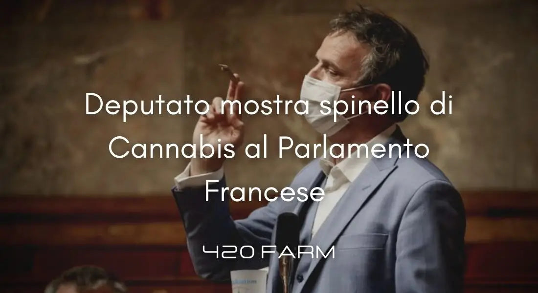 Deputato mostra spinello di Cannabis al Parlamento Francese inneggiando alla legalizzazione