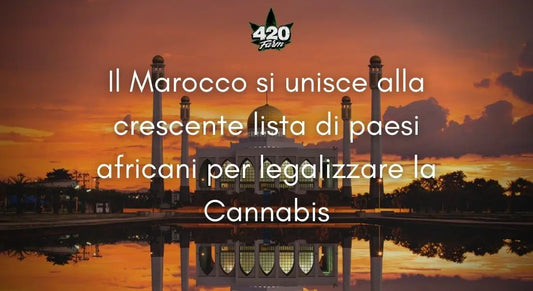 Il Marocco si unisce alla crescente lista di paesi africani per legalizzare la Cannabis