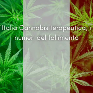 Italia Cannabis terapeutica, i numeri del fallimento