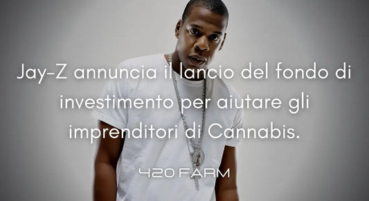 Jay-Z - Fondo di Investimento per Imprenditori di Cannabis