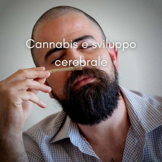 La Cannabis e sviluppo cerebrale