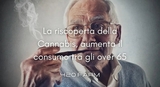 La riscoperta della Cannabis, aumenta il consumo tra gli over 65