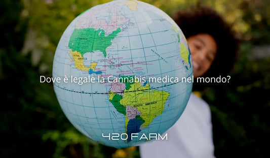 Legalizzazione Cannabis - Dove è Legale