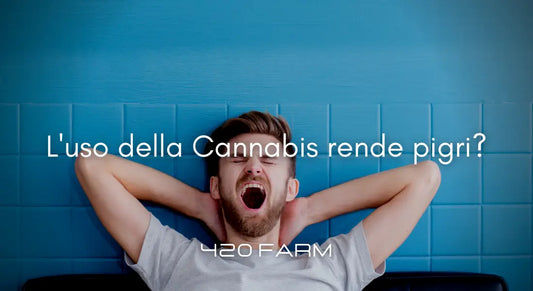 L’uso della Cannabis rende pigri?