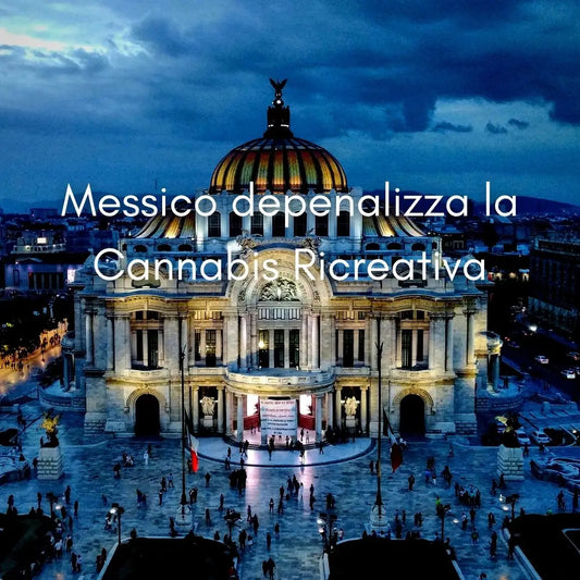 Messico depenalizza la Cannabis Ricreativa