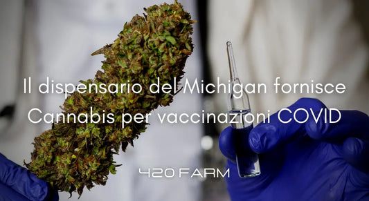 Michigan - Cannabis a chi si Vaccina