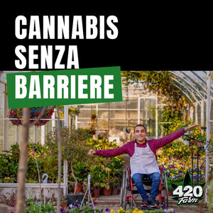 Nasce la serra automatica dove i disabili producono Cannabis