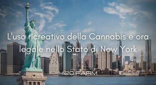 New York - Cannabis Ricreativa