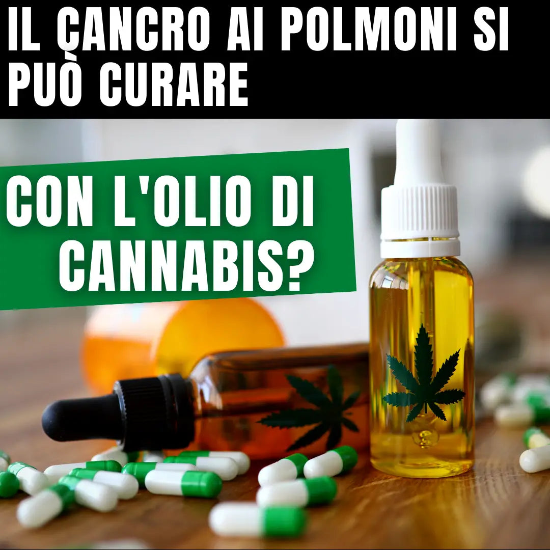 Olio di Cannabis contro Cancro ai Polmoni (Studio)