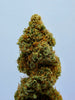 La Regolamentazione della Cannabis nel Mondo: Situazione Attuale