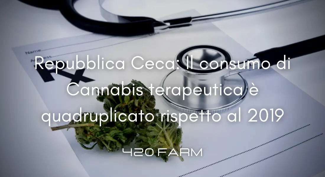 Repubblica Ceca - Cannabis Terapeutica