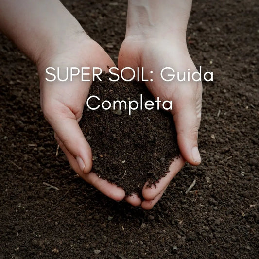 SUPER SOIL - GUIDA COMPLETA