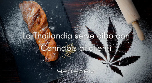 Thailandia - Cibo e Cannabis