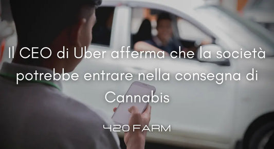 Uber - Consegne Cannabis