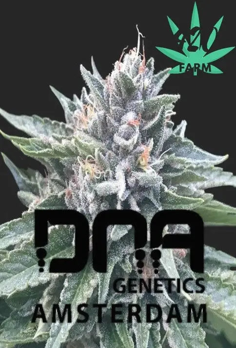 DNA Genetics