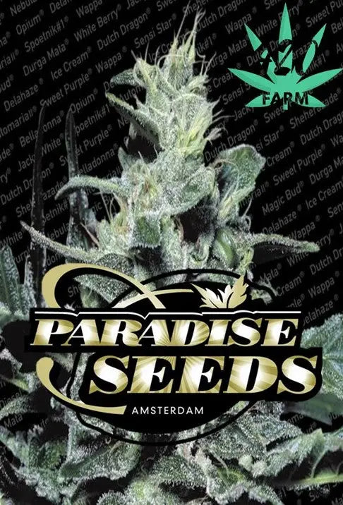 Paradise Seeds