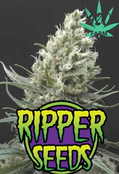 Ripper seeds