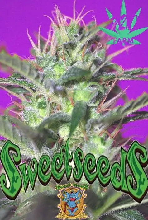 Sweet Seeds