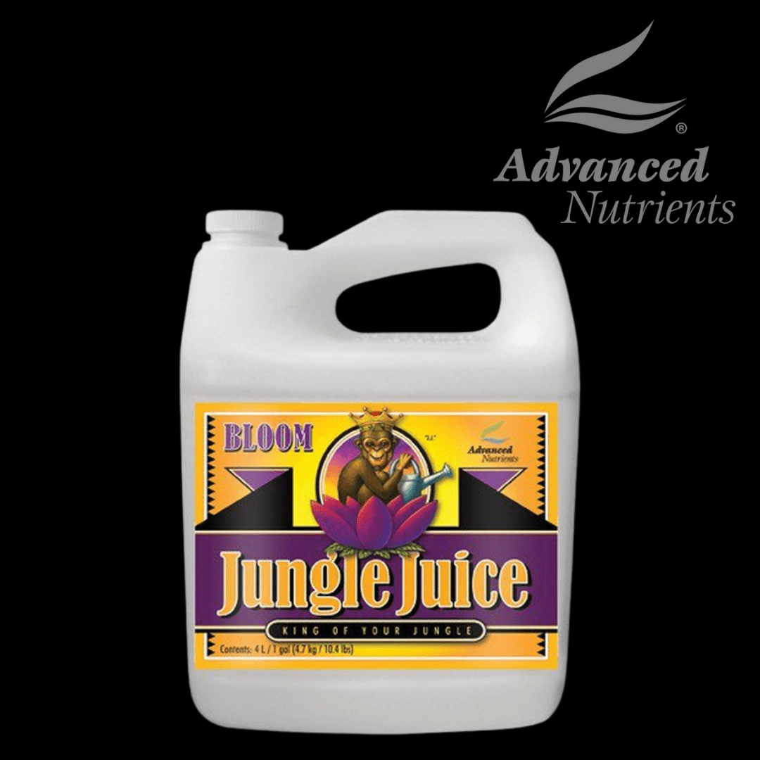 Jungle Juice Bloom - 420 Farm