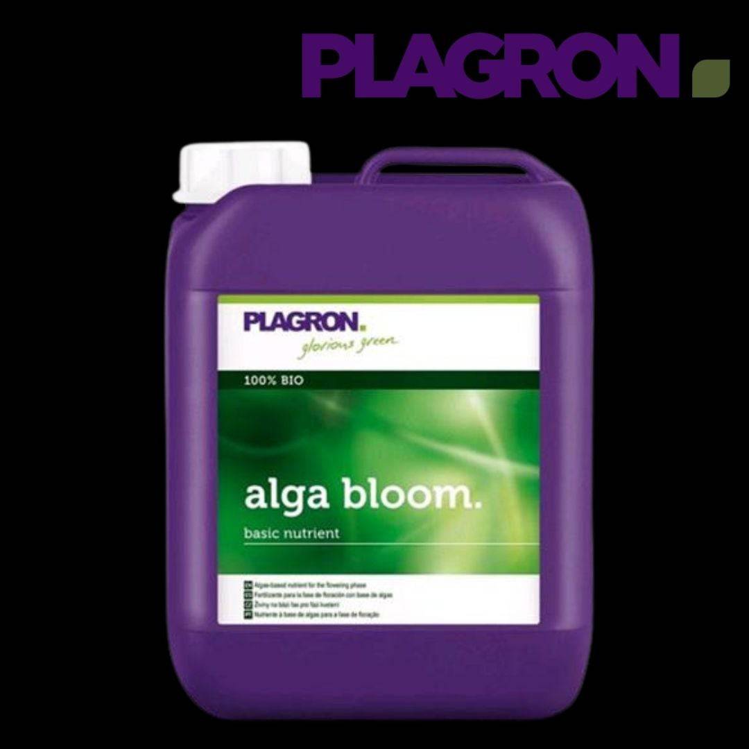 Alga Bloom - 420 Farm