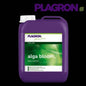 Alga Bloom - 420 Farm