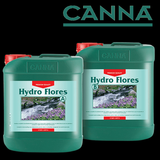 Hydro Flores - 420 Farm