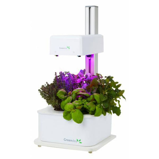 Hydroponic Smart Garden -1 Lampada - 3 Piante - GreenDea - 420 Farm