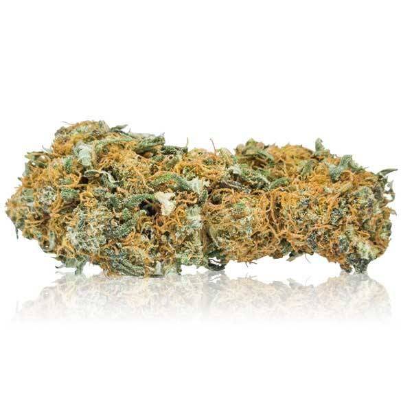 INFIORESCENZE DI GANESH CANAPA CBD - 420 Farm