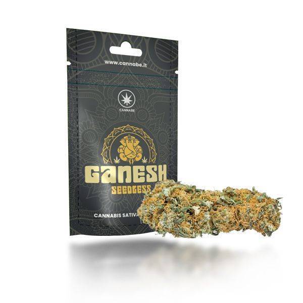 INFIORESCENZE DI GANESH CANAPA CBD - 420 Farm