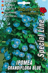 Ipomea grandiflora blue - 420 Farm