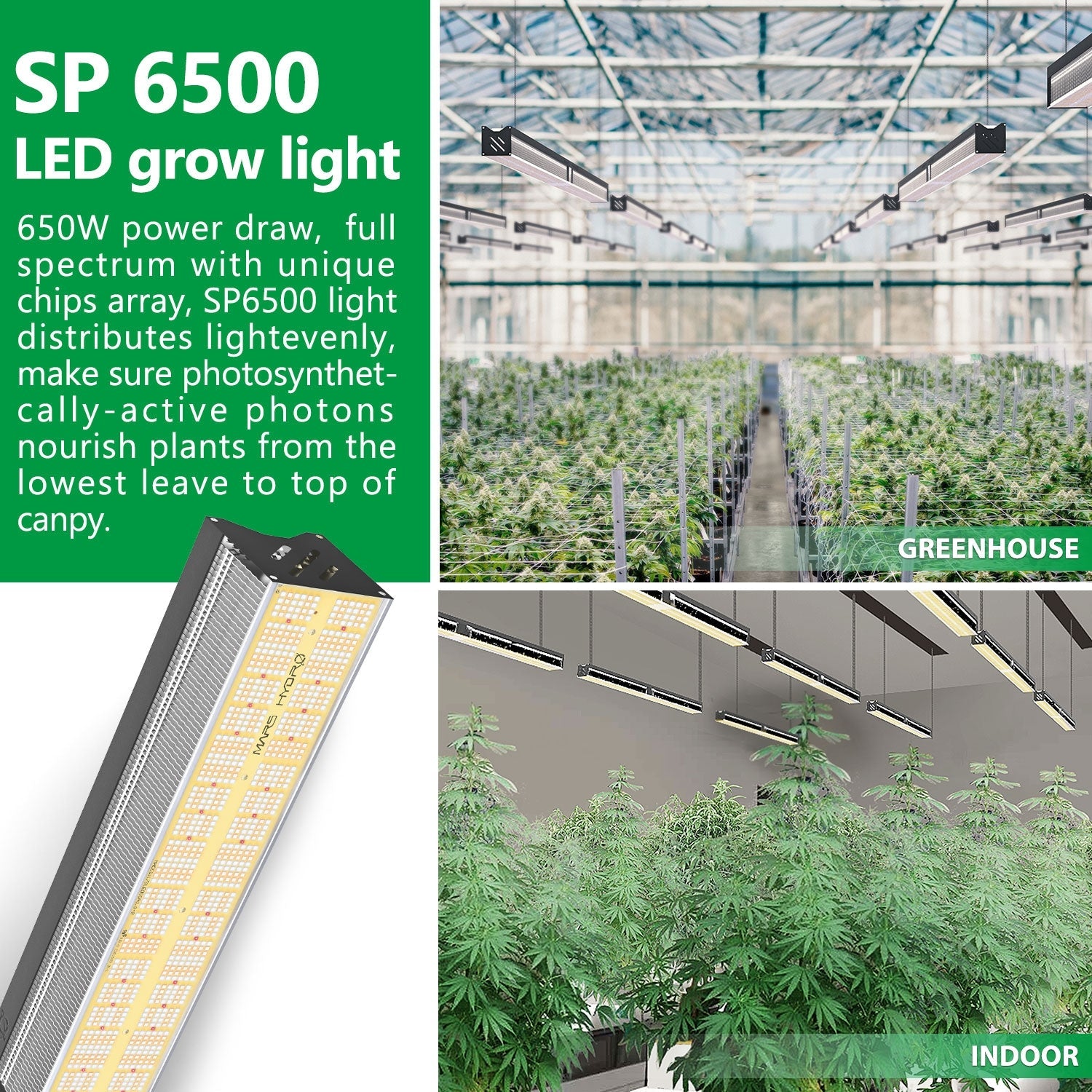 Mars Hydro SP 6500 - 420 Farm