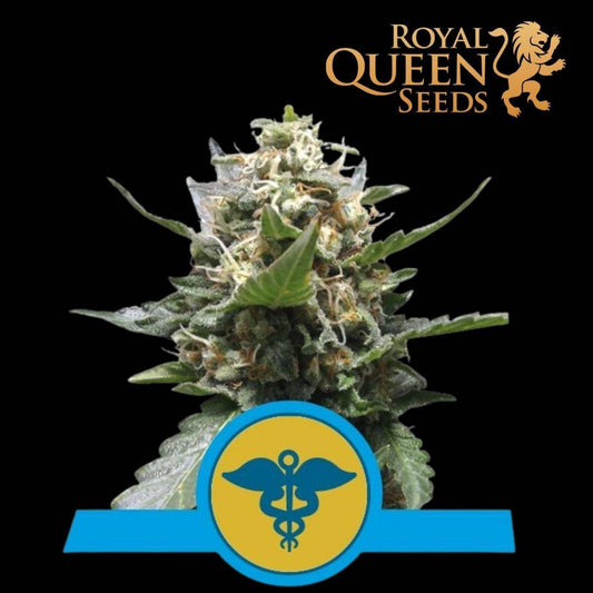 Royal Medic CBD - 420 Farm