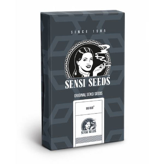 Sensi Seeds - Auto Big Bud - 3 Auto - 420 Farm