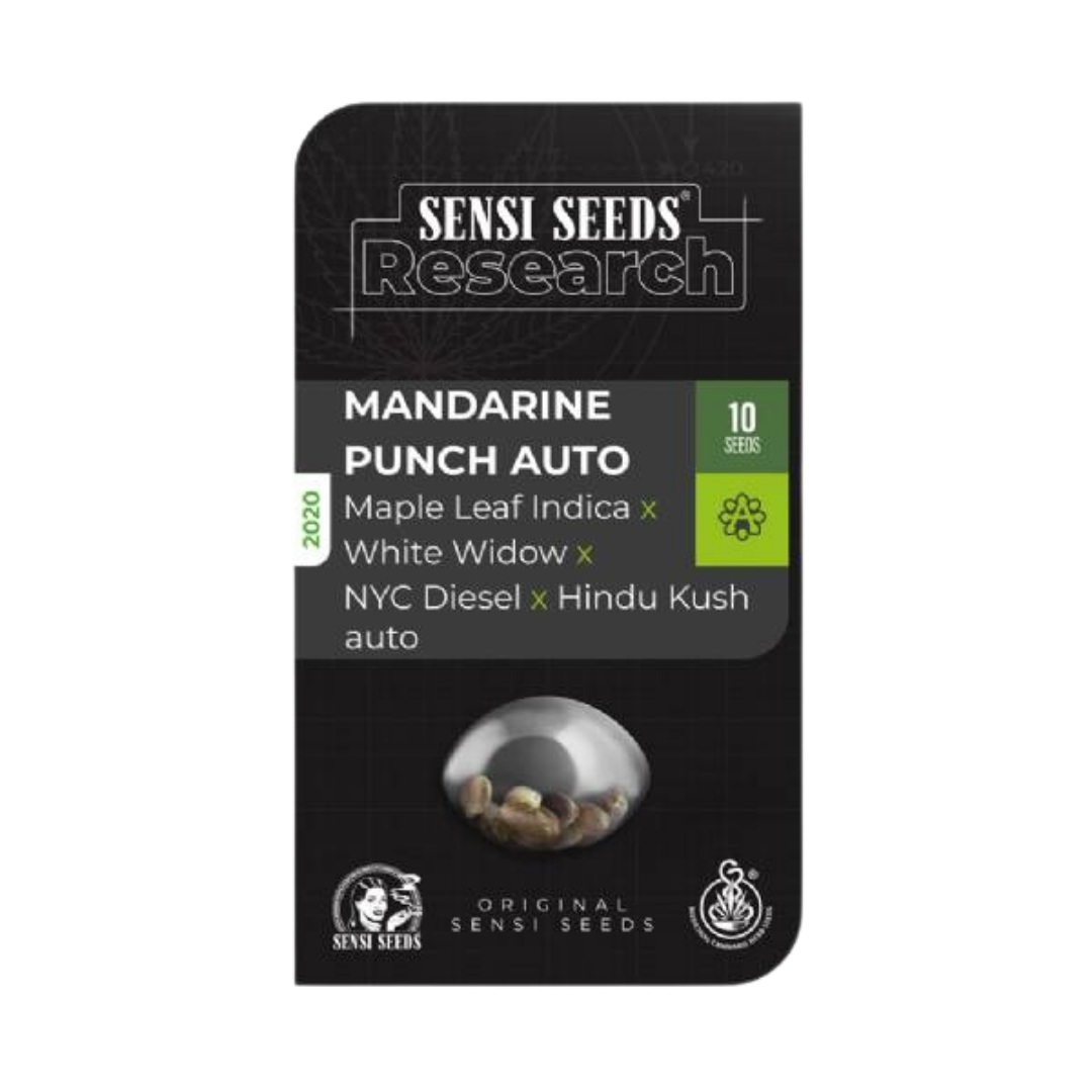 SENSI SEEDS - MANDARINE PUNCH AUTO - 420 Farm