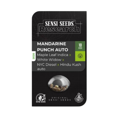 SENSI SEEDS - MANDARINE PUNCH AUTO - 420 Farm