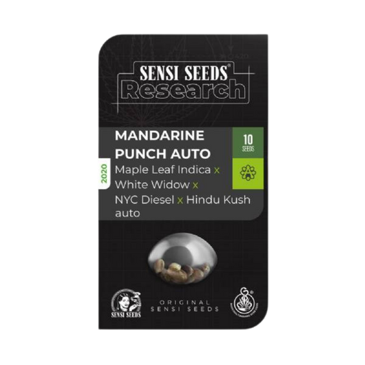 SENSI SEEDS - MANDARINE PUNCH AUTO - 420 Farm