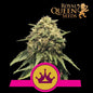 Special Queen 1 - 420 Farm