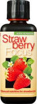 Strawberry Focus 1L - 420 Farm