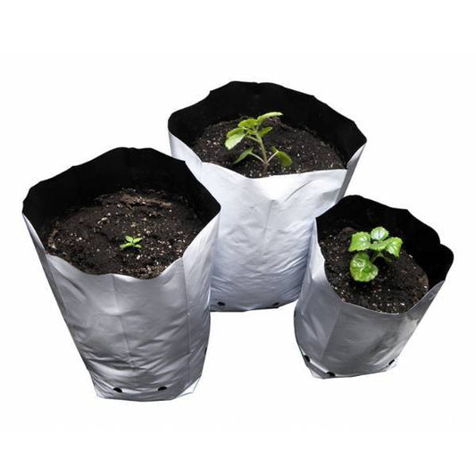 Vaso Pandora 10x12x30cm - 2L - 420 Farm