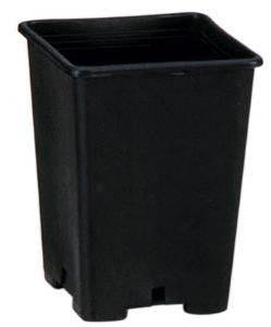 Vaso quadro 1,5L - 420 Farm